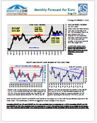 Buy Euro Report