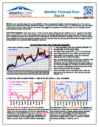 Buy Euro Report