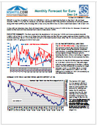 Buy Euro Report