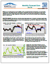 Buy Euro Report