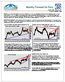 Buy Euro Report