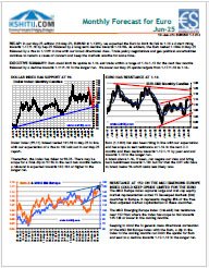 Buy Euro Report