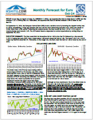 Buy Euro Report