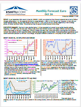 Buy Euro Report
