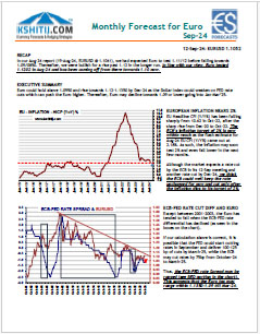 Buy Euro Report