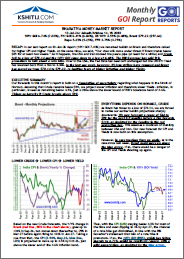 GOI Report