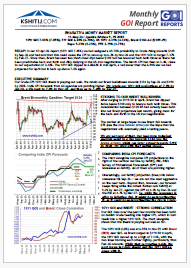 GOI Report