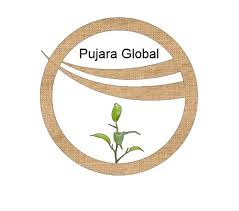 Pujara Global Exports Pvt Ltd.