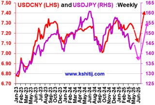 USDJPY May'25 Report